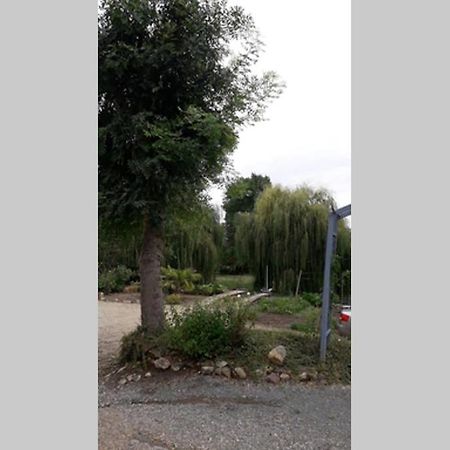 Апартаменты Entre Vignes Et Loire Blaison-Saint-Sulpice Экстерьер фото